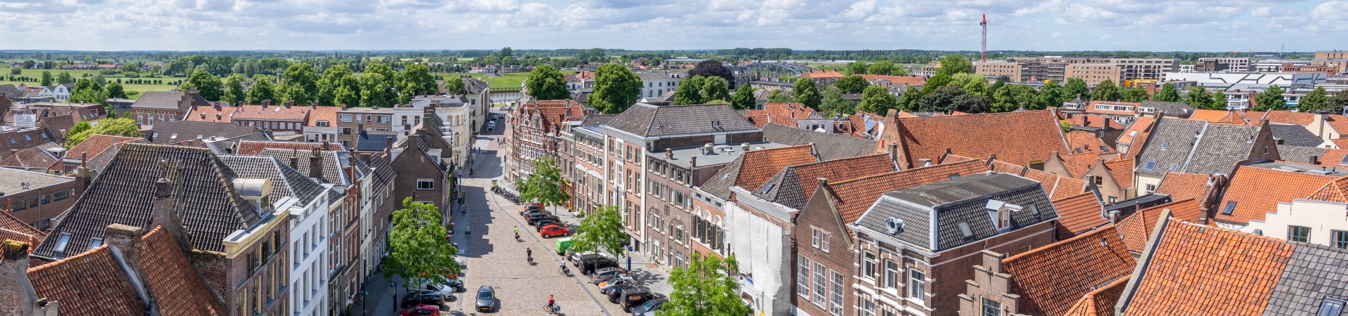 Uitzicht op monumentale daken en de Veluwe in de verte, vanaf de Wijnhuistoren