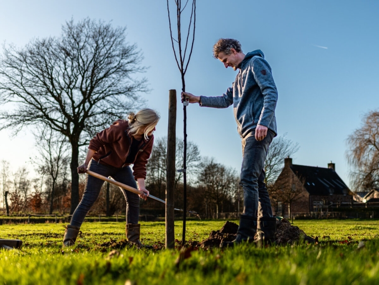 Een man en een vrouw planten samen een jonge boom in het buitengebied.